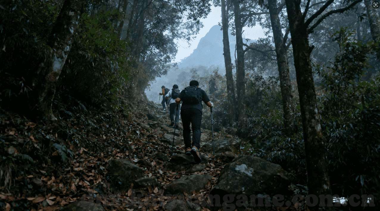 德州扑克高手 the-德州扑克高手，策略、心态与技巧的结合
